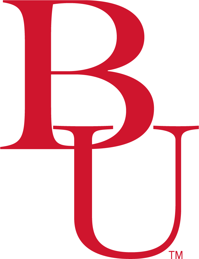 Belmont Bruins 2013-2018 Secondary Logo DIY iron on transfer (heat transfer)